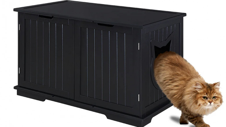 How to Keep Your Backyard Clean: The Best Tools for Pet Waste Removal