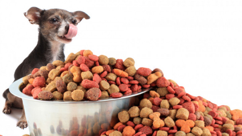 India Dog Food Market Trends, Size and Growth Forecast 2025-2033